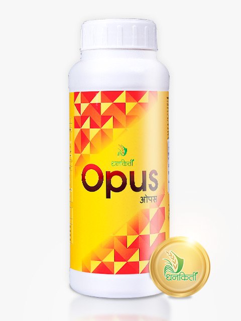 Opus