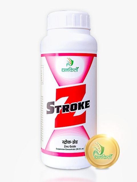 Stroke-Z