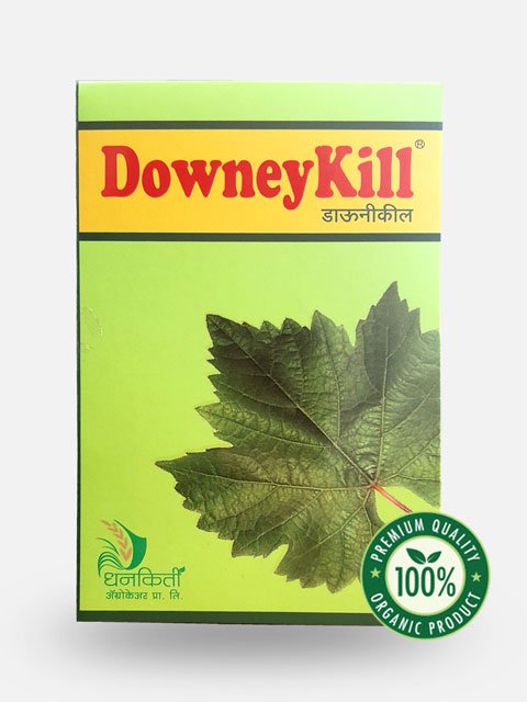 Downey Kill