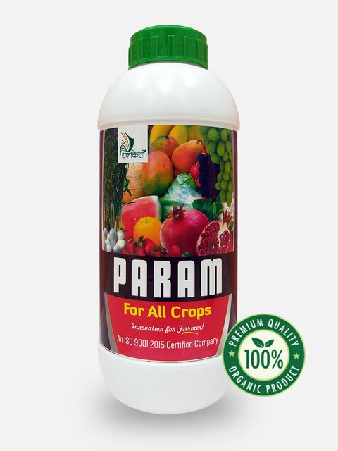 Param For All Crop